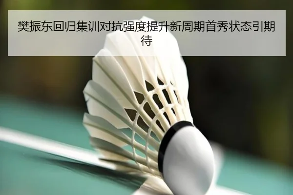 樊振东回归集训对抗强度提升新周期首秀状态引期待